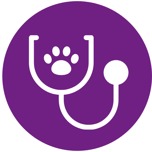 veterinary resources